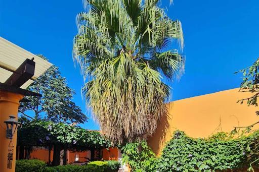 Hostal Paradiso Asuncion Luaran gambar